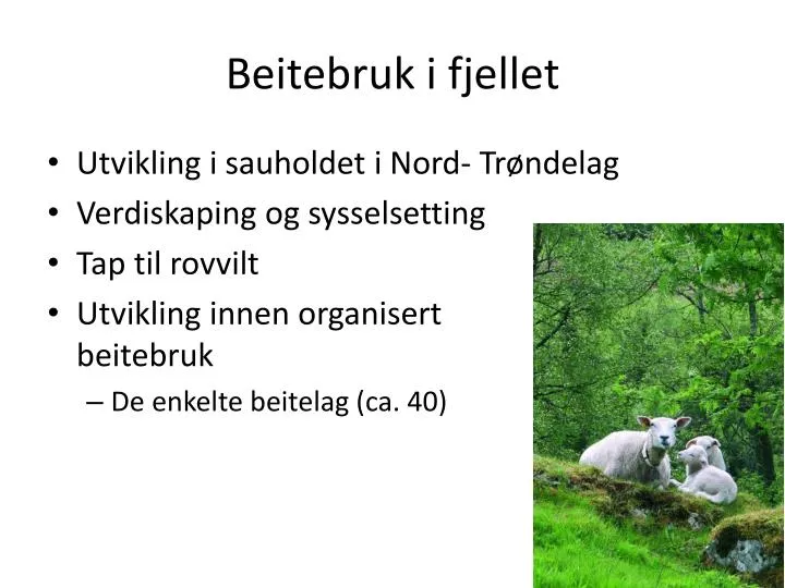 beitebruk i fjellet