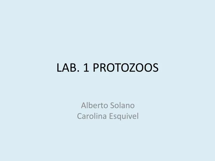 lab 1 protozoos