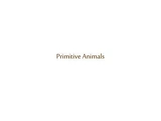 Primitive Animals