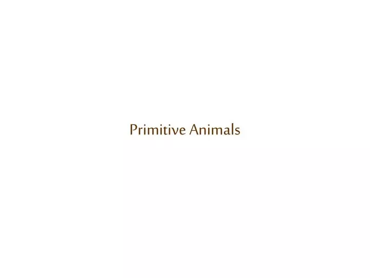 primitive animals