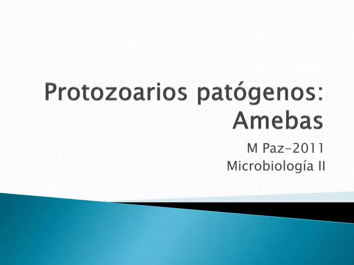 protozoarios pat genos amebas