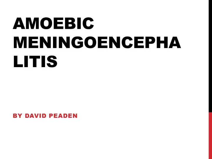 amoebic meningoencephalitis