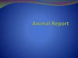 animal report