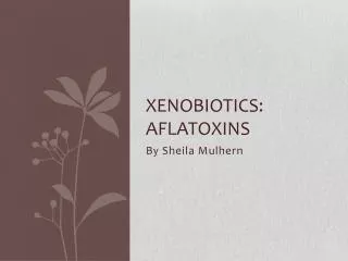 Xenobiotics : Aflatoxins