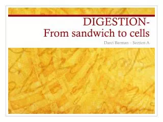 DIGESTION- From sandwich to cells
