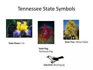 Tennessee State Symbols