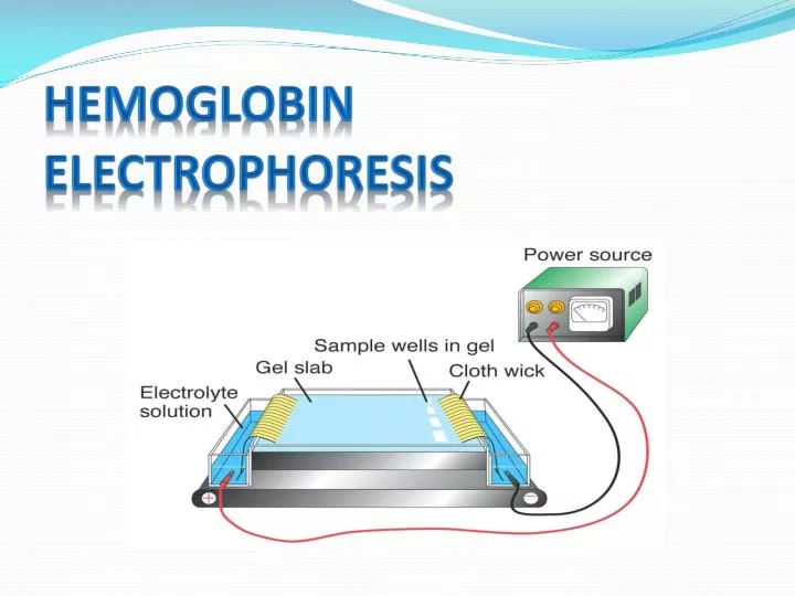 hemoglobin electrophoresis