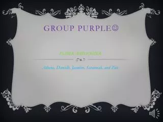 Group Purple ?