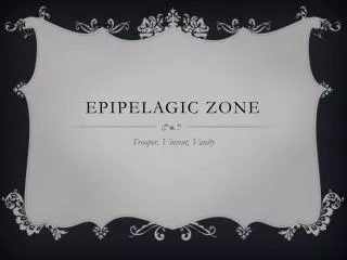 Epipelagic Zone