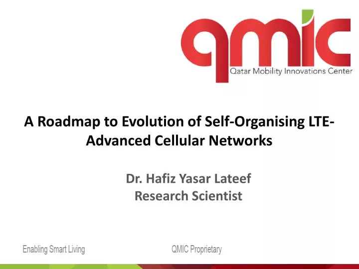 a roadmap to evolution of self organising lte advanced cellular networks