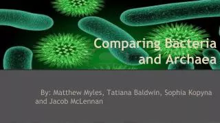 Comparing Bacteria and Archaea