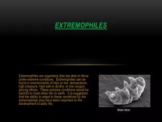 extremophiles