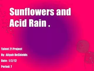 sunflowers and acid rain