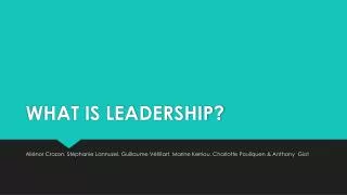 WHAT IS LEADERSHIP?