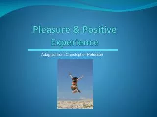 Pleasure &amp; Positive Experience