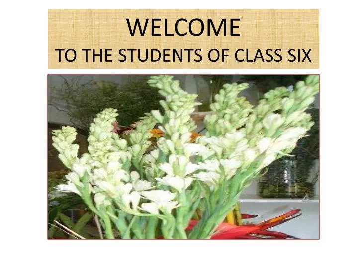 welcome to the students of class six