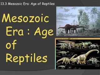 13.3 M esozoic Era: Age of Reptiles