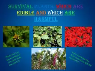 Survival Plants: Which are edible and which are harmful