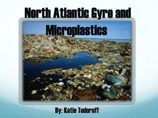 North Atlantic Gyre and Microplastics