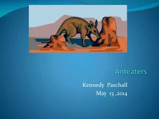 Anteaters