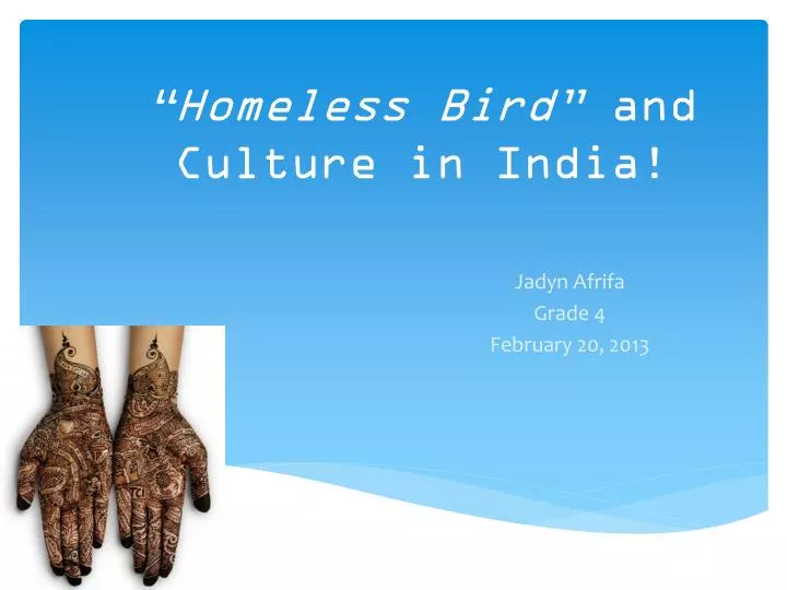 homeless bird and culture in india