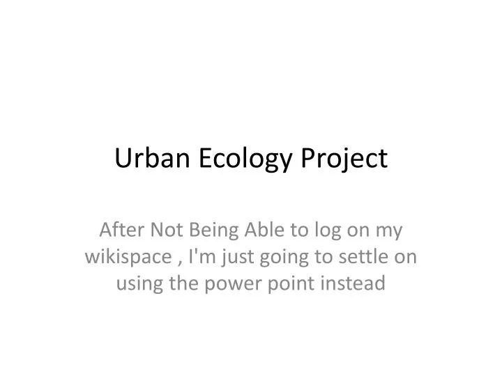urban ecology project