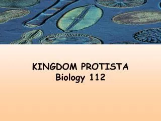 KINGDOM PROTISTA Biology 112