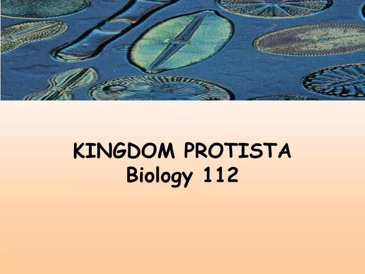 kingdom protista biology 112