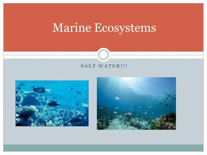 marine ecosystems