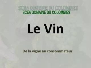 le vin