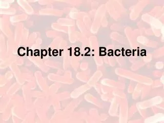 Chapter 18.2: Bacteria