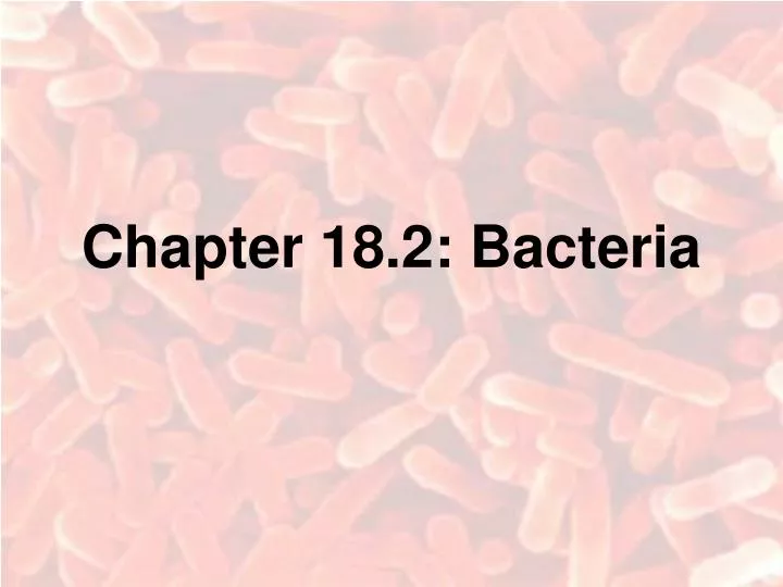 chapter 18 2 bacteria