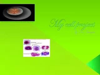 My cell project