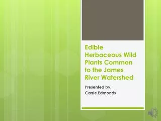 Edible Herbaceous Wild Plants Common to the James River Watershed