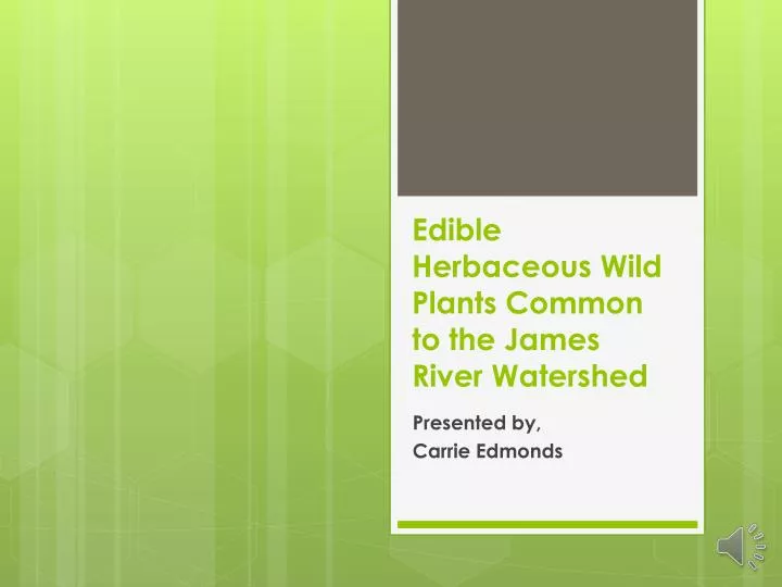 edible herbaceous wild plants common to the james river watershed