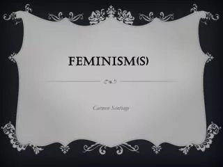 Feminism(s)