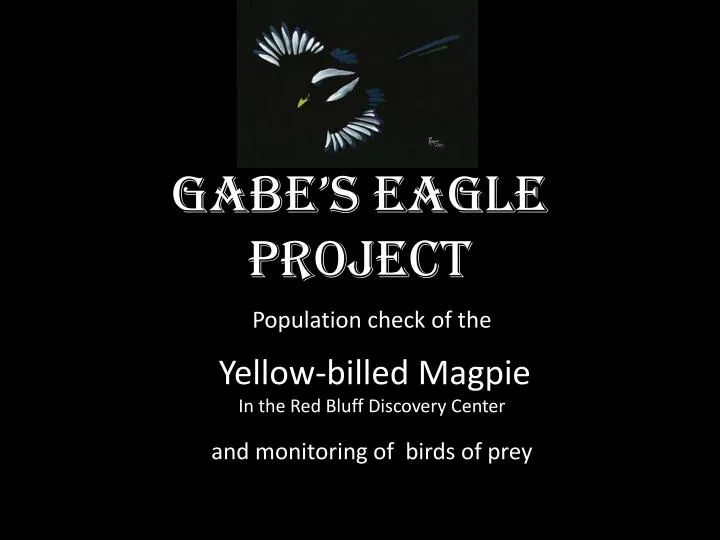 gabe s eagle project