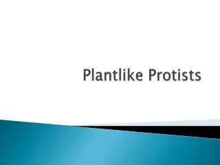 Plantlike Protists
