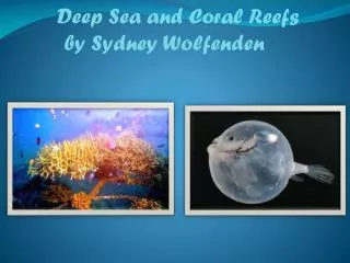 Deep Sea and Coral Reefs by Sydney Wolfenden