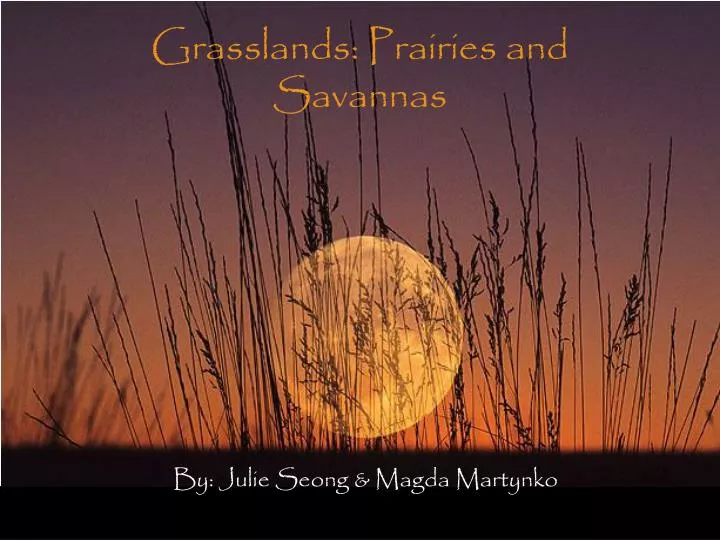 grasslands prairies and savannas
