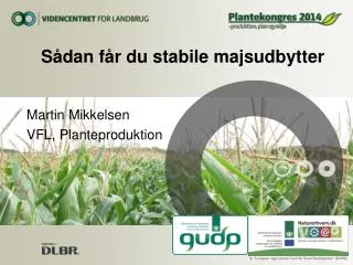 s dan f r du stabile majsudbytter