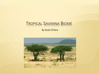 Tropical Savanna Biome
