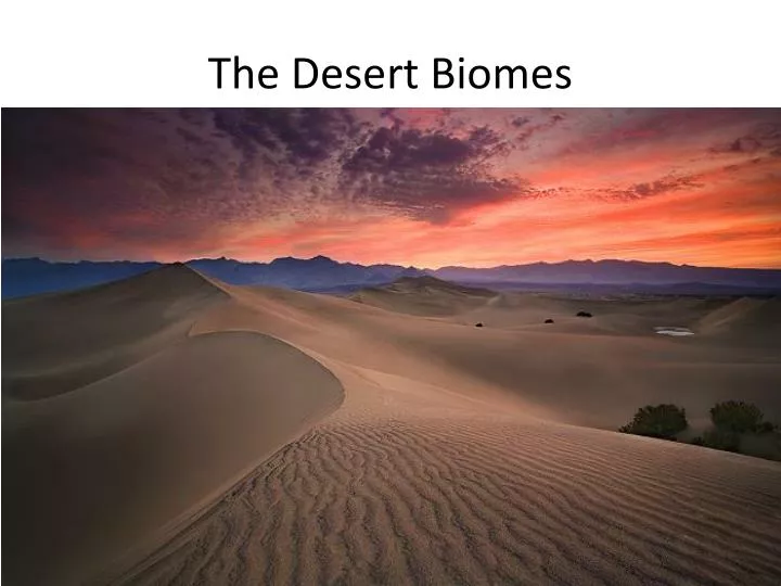 the desert biomes