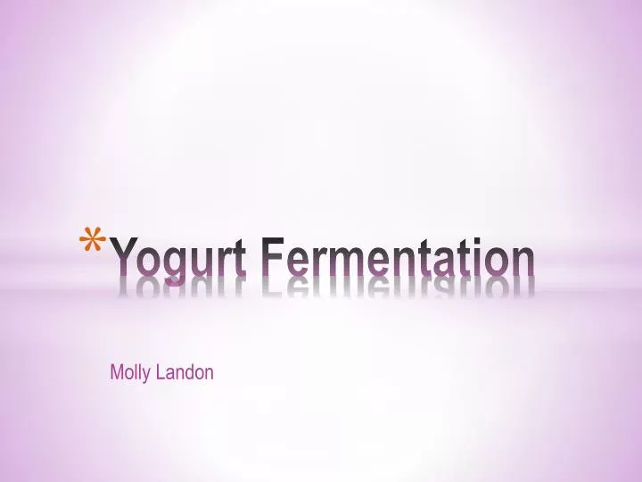 yogurt fermentation