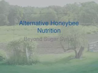 Alternative Honeybee Nutrition