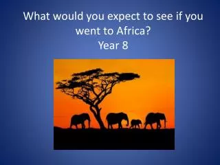 What would you expect to see if you went to Africa? Year 8