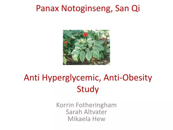 panax notoginseng san qi anti hyperglycemic anti obesity study