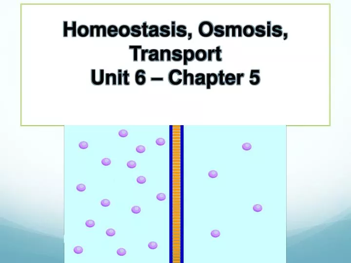homeostasis osmosis transport unit 6 chapter 5