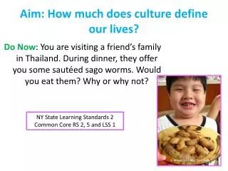 Aim: How much does culture define our lives?