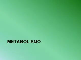 metabolismo